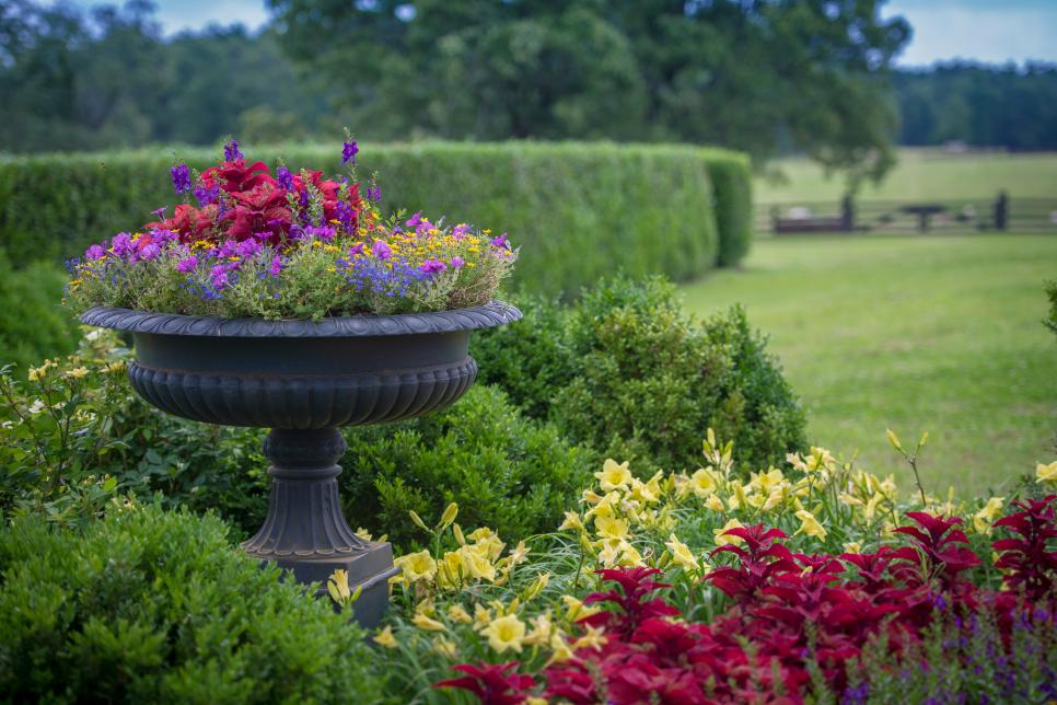 Easy Perennials To Grow In Your Garden