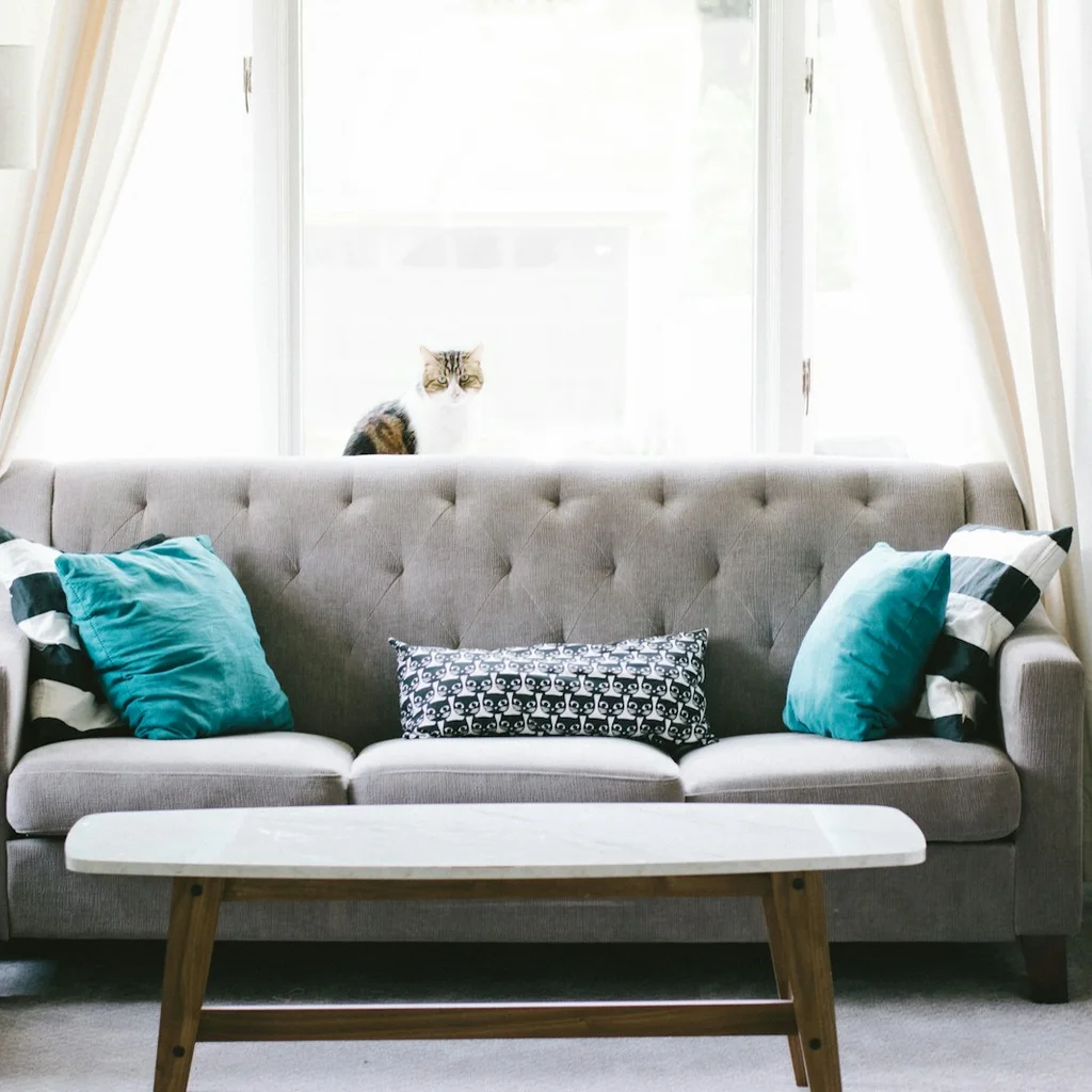 Bright tidy living room after a quick daily home reset routine
