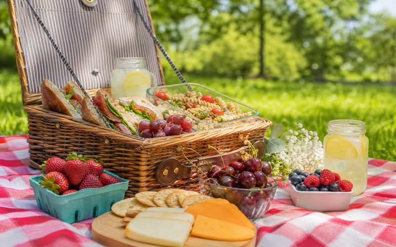 Summer picnic spread on checkered blanket with sandwiches salads and lemonade