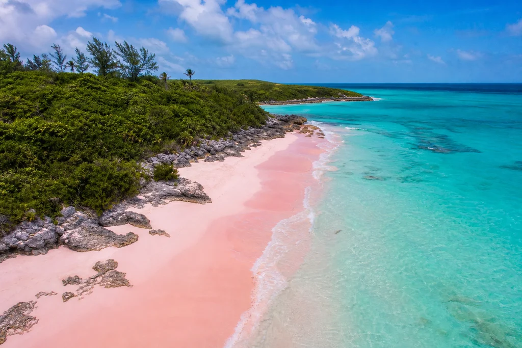 Pink sand beach shoreline in the Bahamas with calm turquoise water